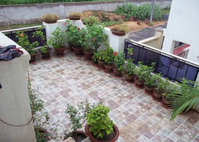 terrace garden at cuttack